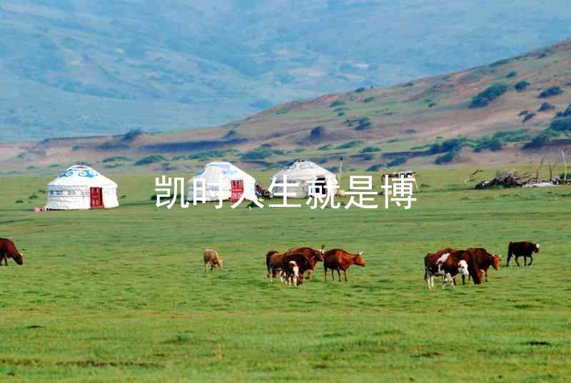 凯时人生就是博